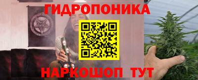 стаф Брянск
