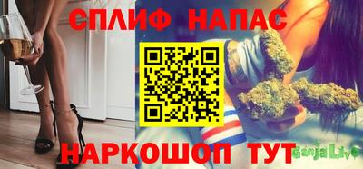 стаф Брянск