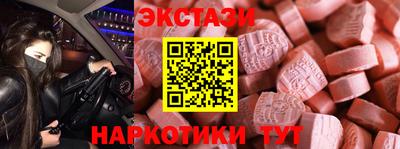 стаф Брянск