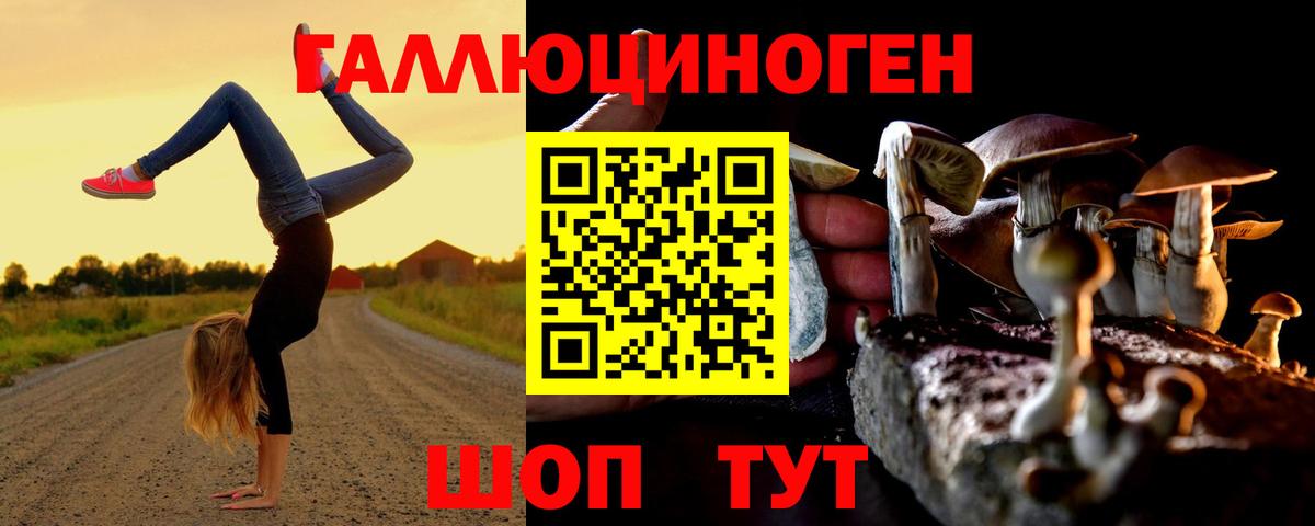 Галлюциногенные грибы GOLDEN TEACHER Саров