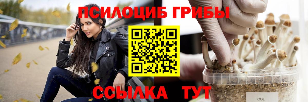 Саров  Галлюциногенные грибы Psilocybine cubensis  Вход с VPN 